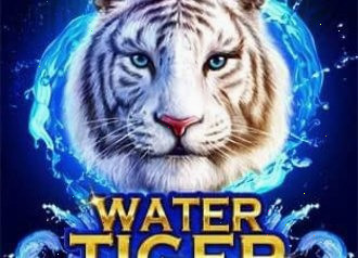 Water Tiger вода тигр азиатская тематика множители